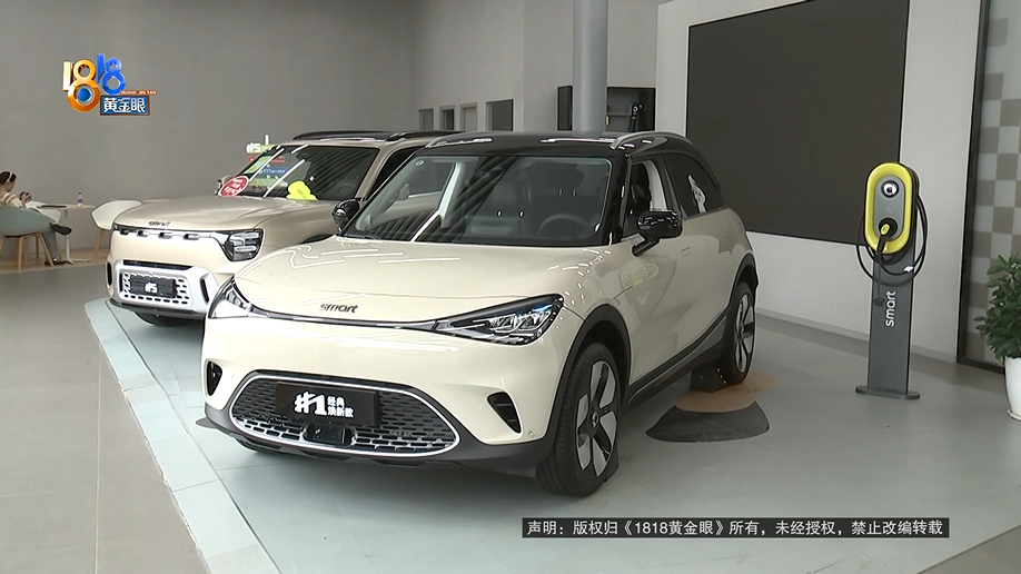 26万买限量版Smart:蓝牙失灵锁车难,空调漏水能养鱼