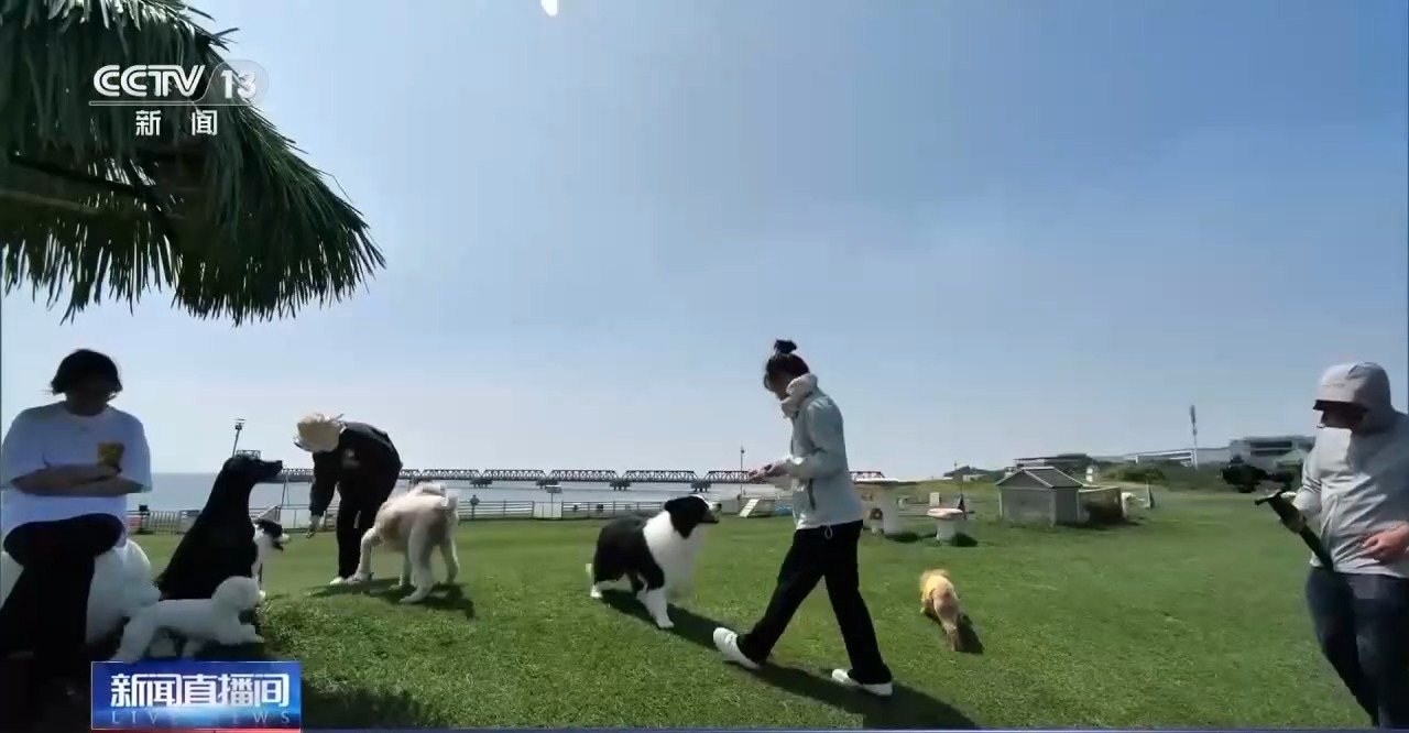 苏州市青少年散打1891-5555-567联系电话