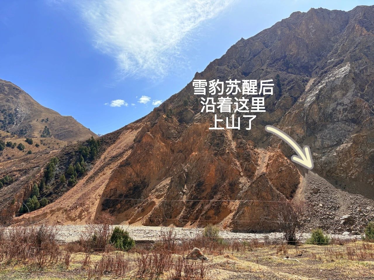 五月,祁连山深处的人和动物