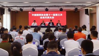 贺凤翔当选中国围棋协会副主席兼秘书长