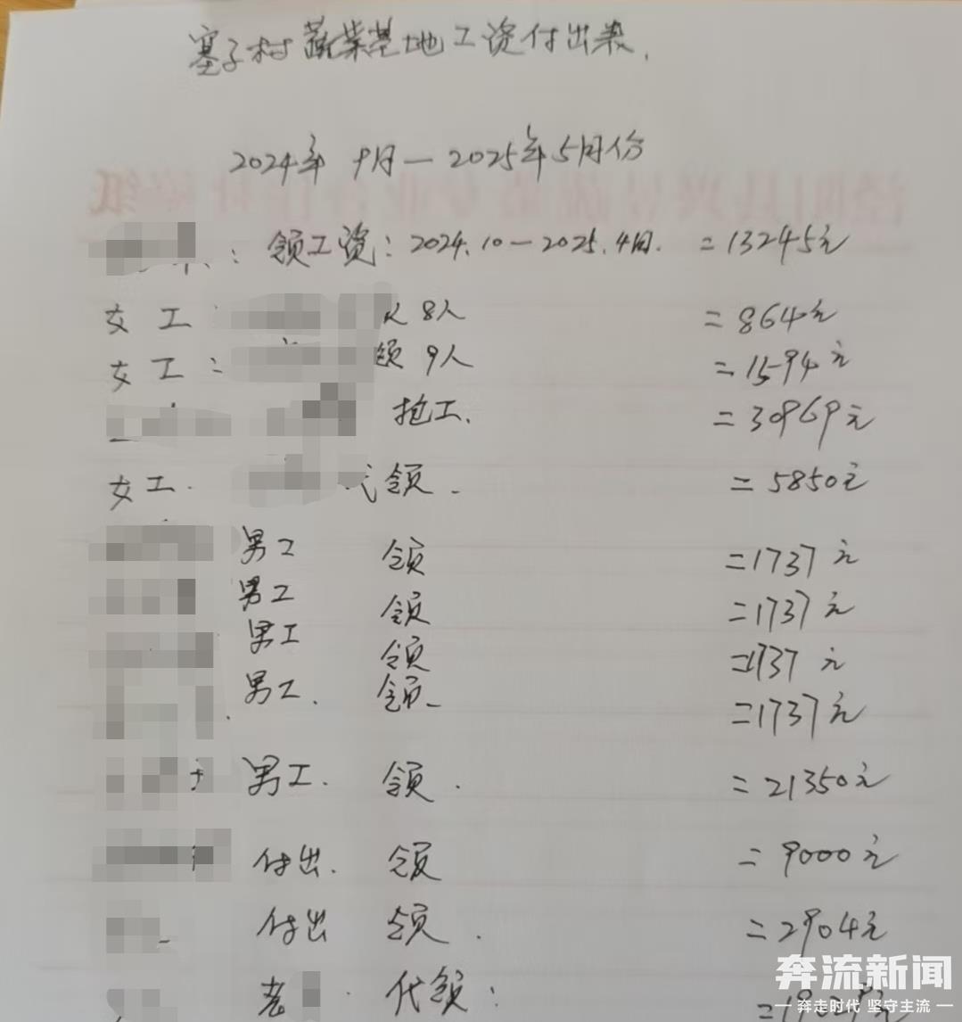 陕西淳化一合作社涉嫌违约:甘肃菜农承包90座大棚遭断水、哄抢,几近绝收