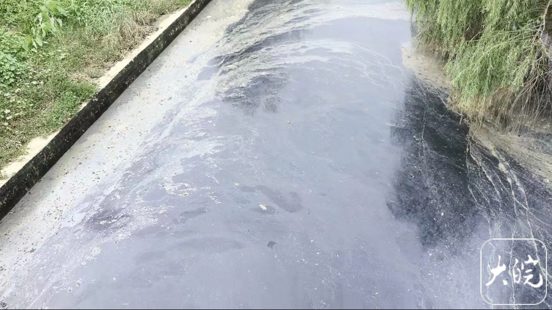 湖南益阳一地河水发黑发臭,当地:属实,市委、市政府正研究解决办法