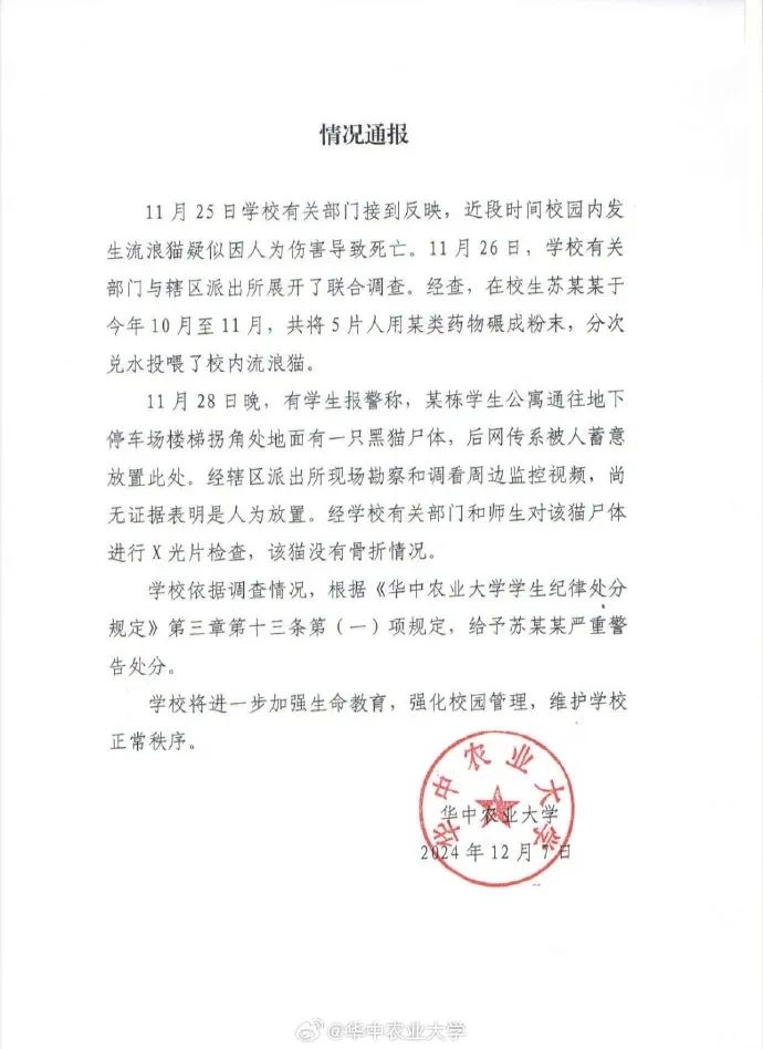 桂林一事业单位招录考察人选曾虐猫?单位回应正在政审阶段