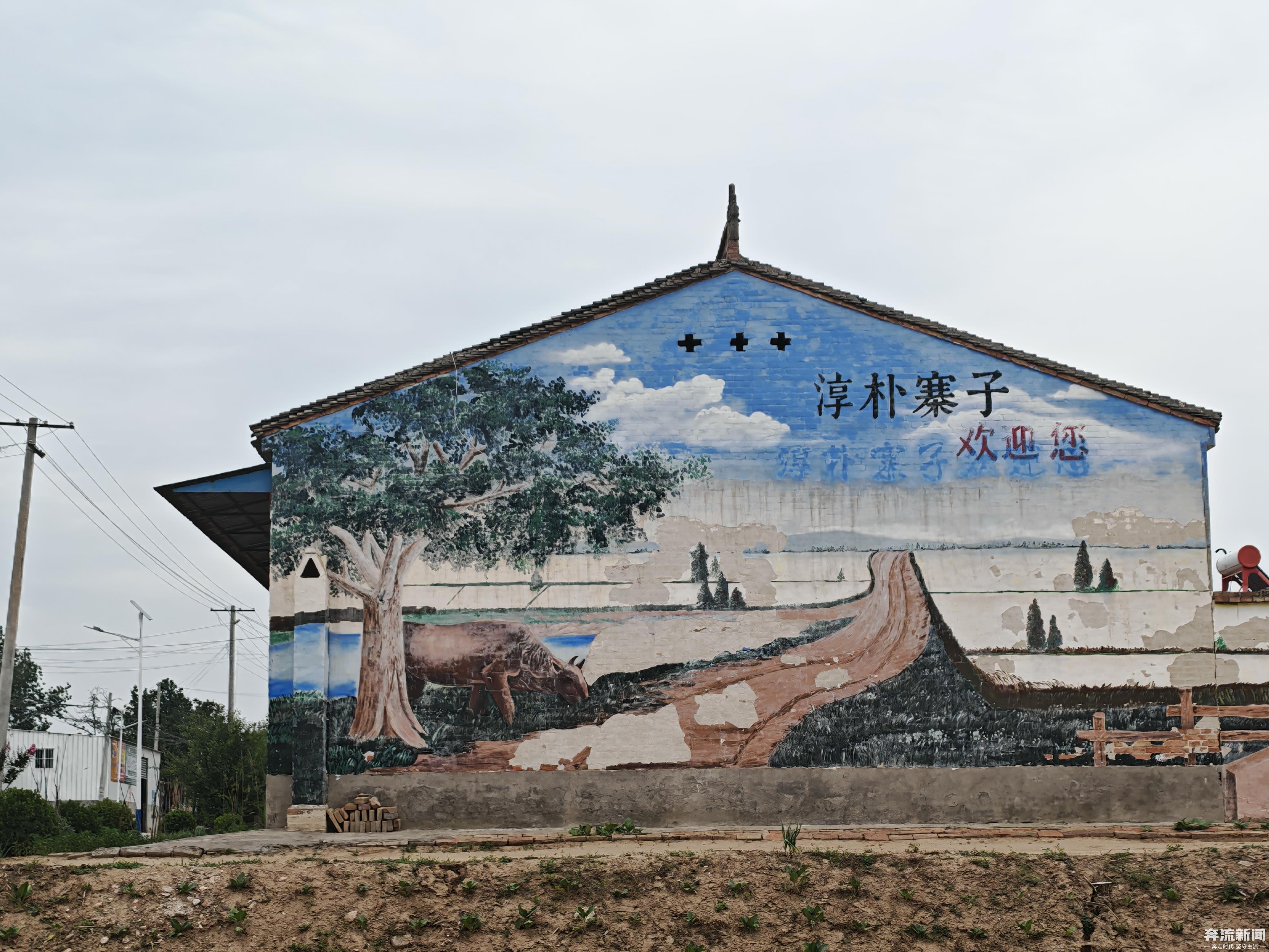 陕西淳化一合作社涉嫌违约:甘肃菜农承包90座大棚遭断水、哄抢,几近绝收