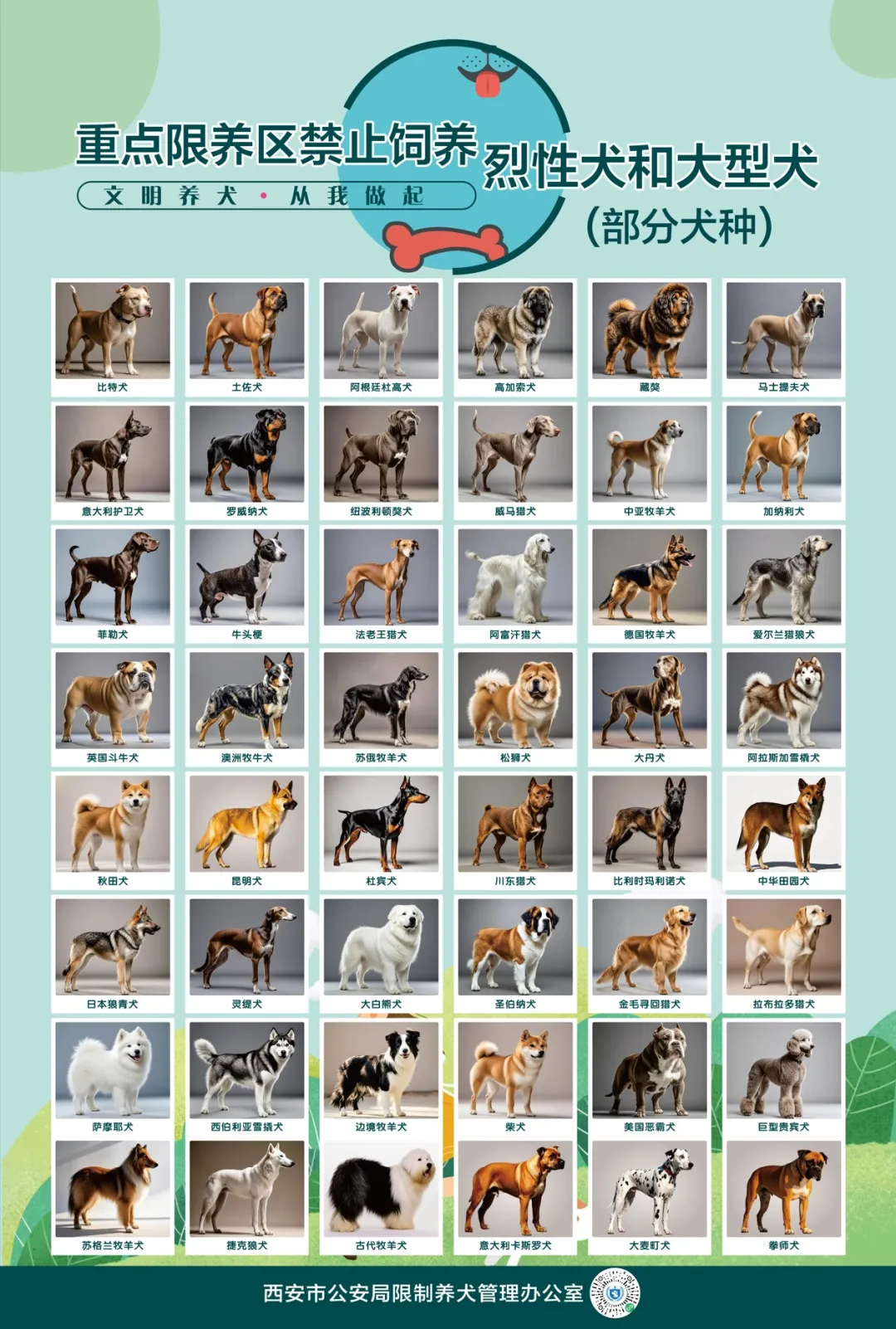 西安警方回应“中华田园犬禁养”：并非所有中华田园犬都禁养