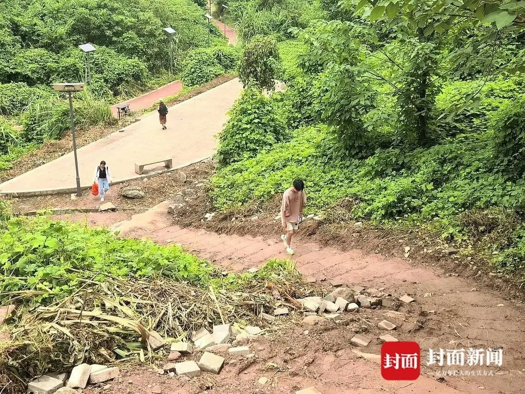 重庆一小区居民为赶地铁自发修路？当地回应：正在推进处理
