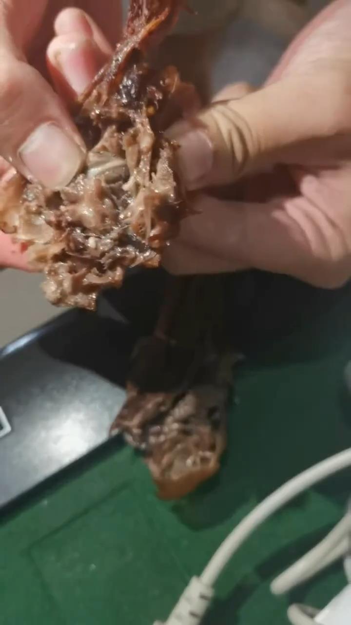 长春一大学生称在鸭头里吃出活蛆,市监部门介入