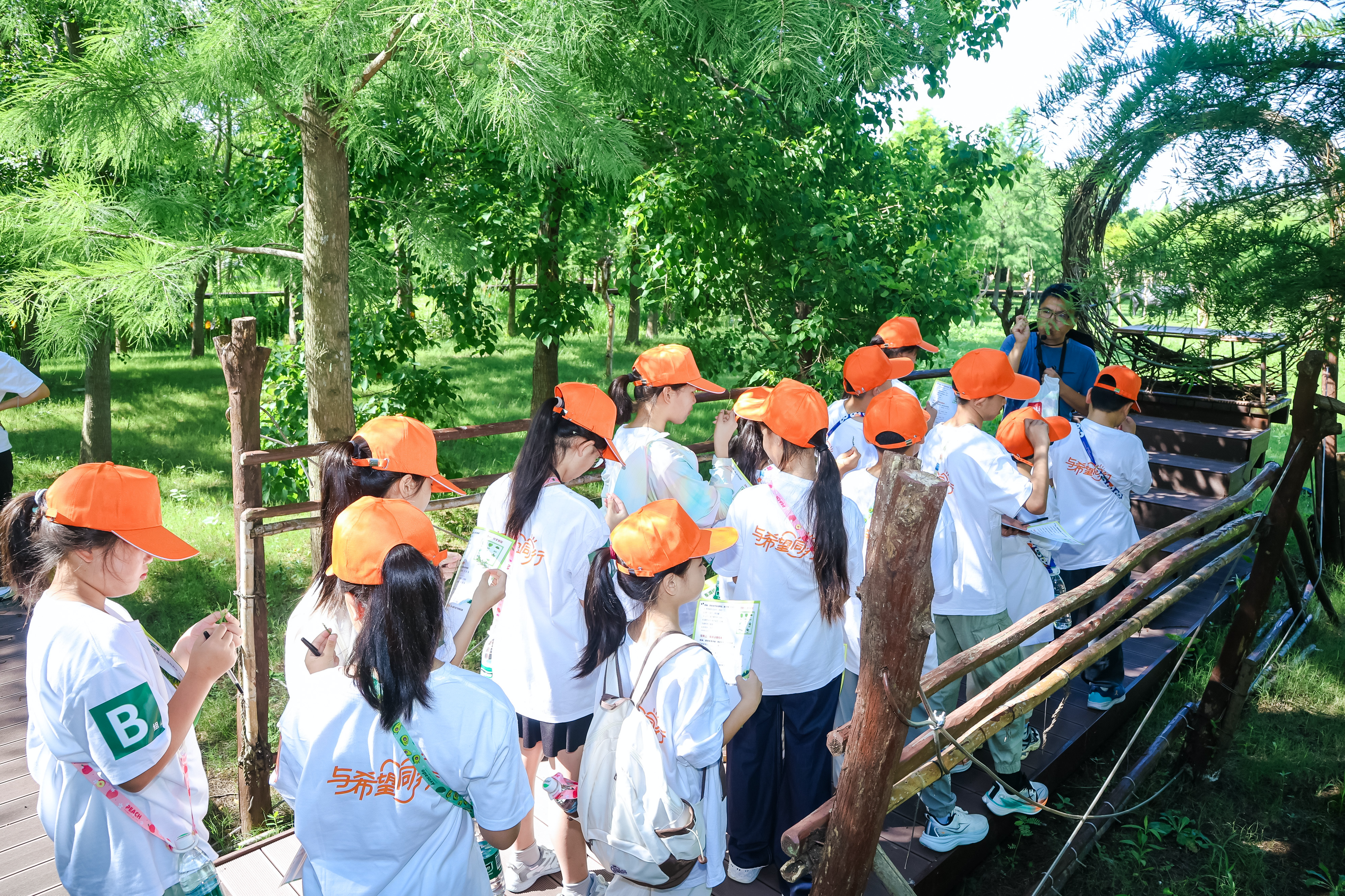 一课田间、一问家国、一束星光，沪皖少年共绘田野答卷