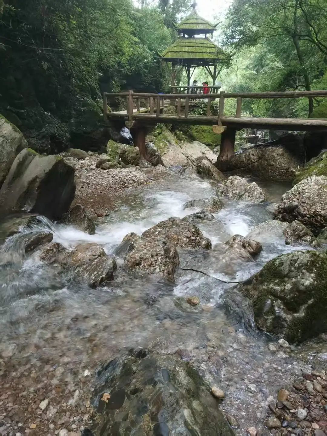 四川青城山后山一公厕排水泛黄、发臭，景区回应