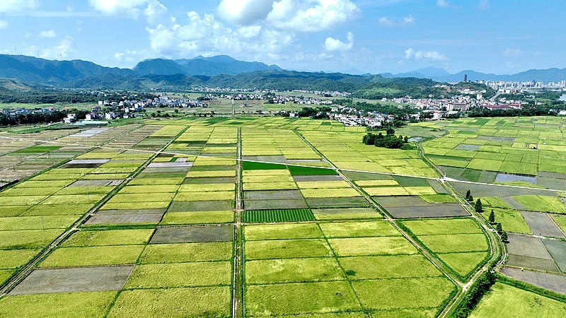 台风“韦帕”预计今日生成，未来或登陆我国