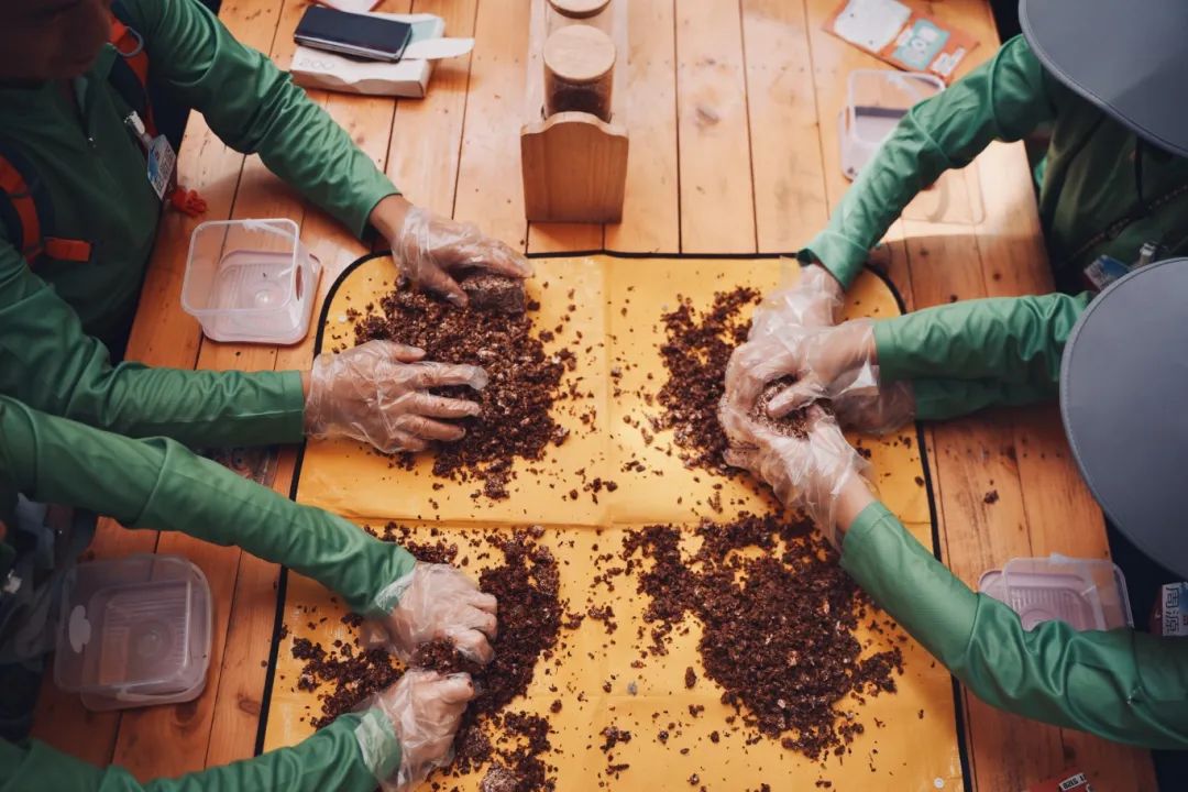 暑期研学新选择:走进西双版纳,感受自然与文化的奇妙碰撞