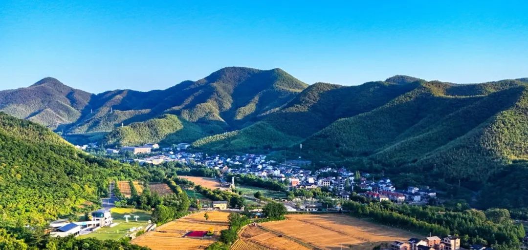 绿染湖州二十年：“两山”理念如何重塑百姓日常