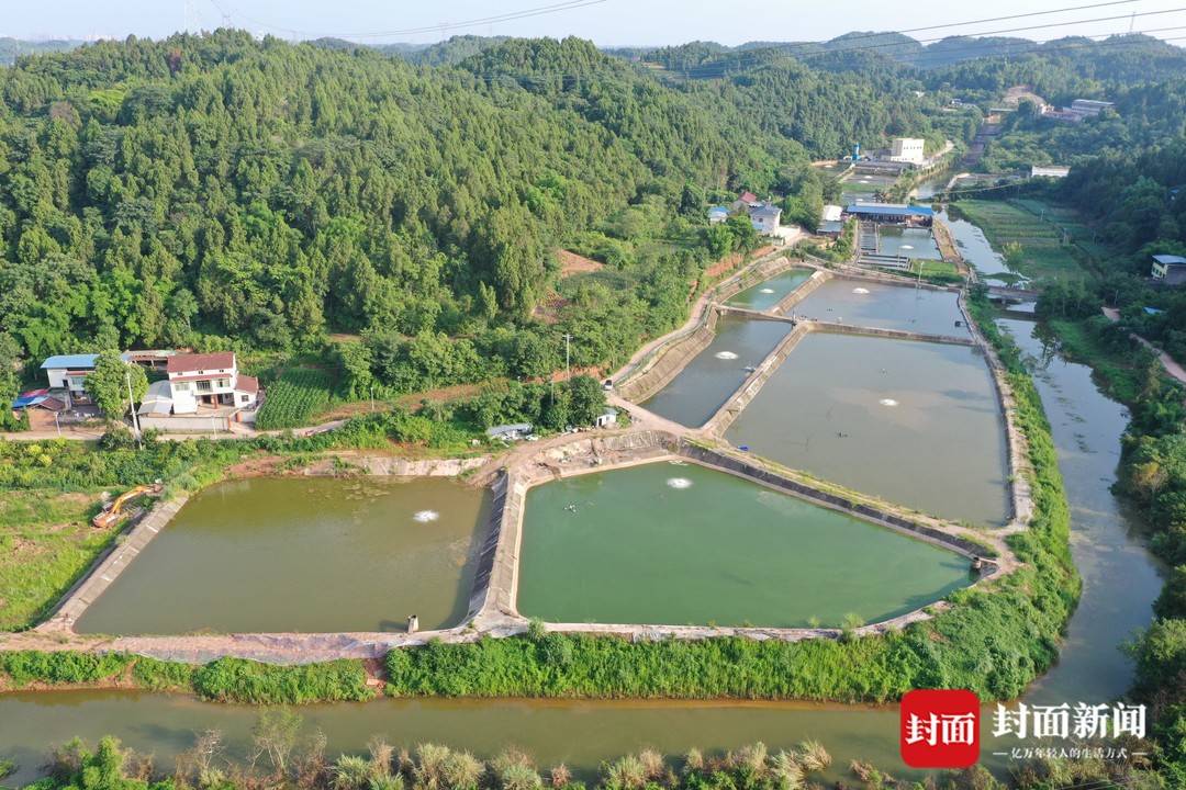 网友称资阳雁溪湖蓄水致上游渔场受损，官方回应：正协商解决