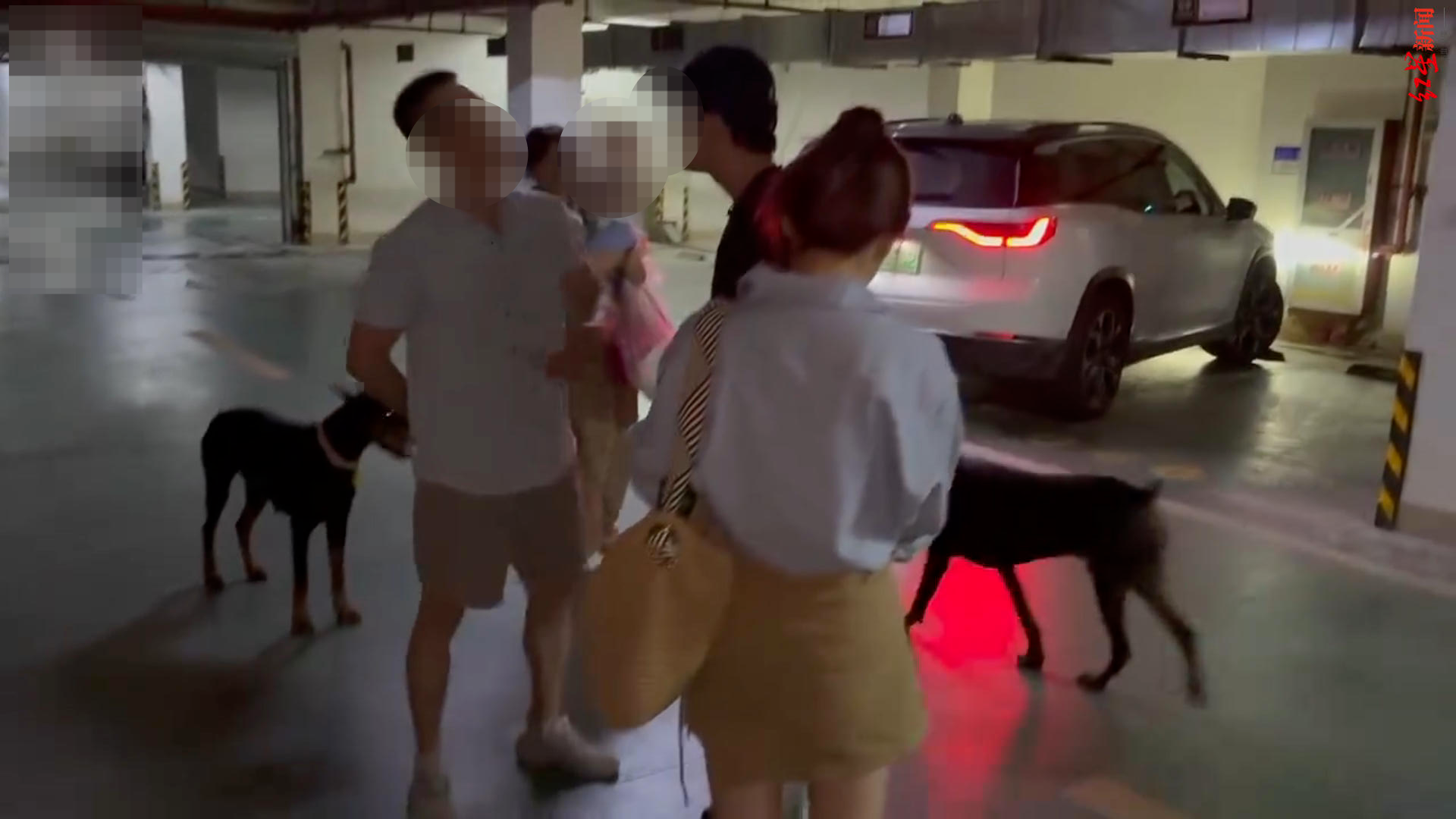 江苏丹阳一小区内两杜宾犬没拴绳吓到人引发口角，路人报警后警方介入