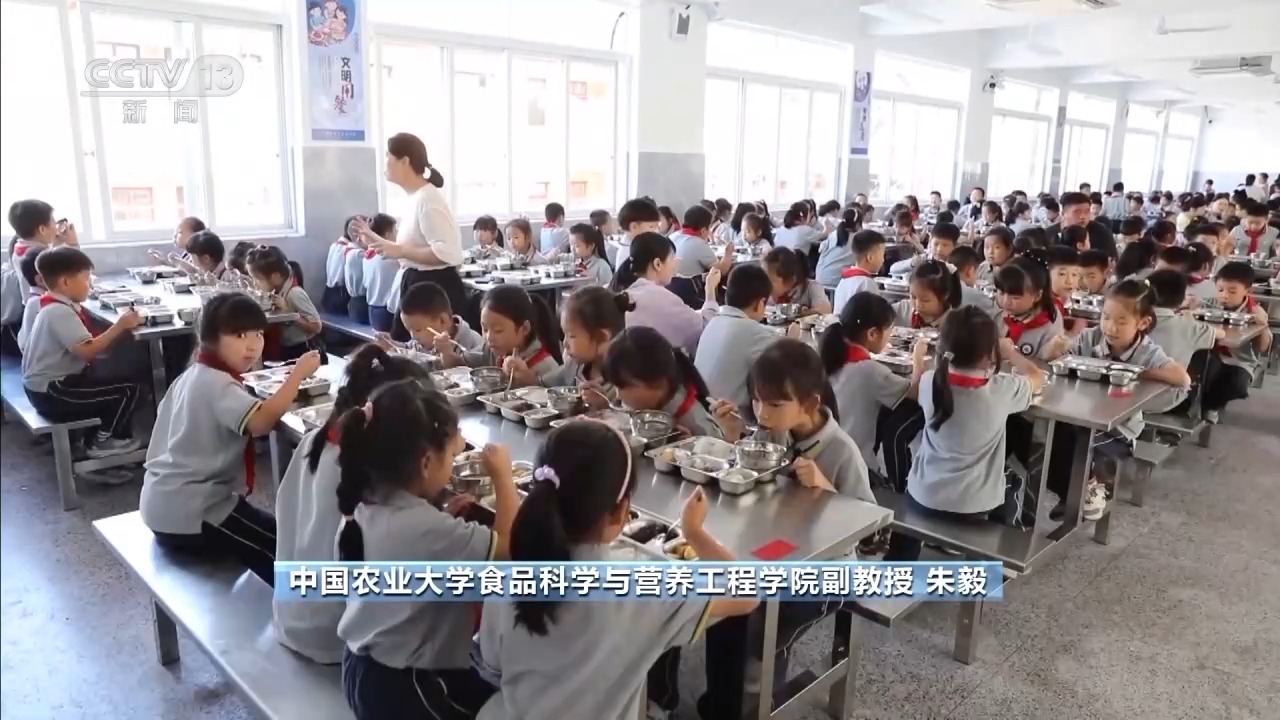 校园配餐首个国家标准发布，如何保障有效落地？专家解读