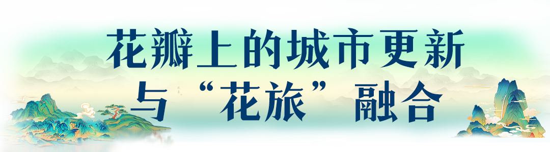 昆明风华之绿色转型:春城花脉,产业绿动,香沁未来