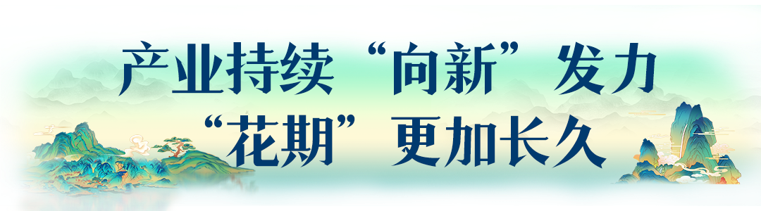 昆明风华之绿色转型:春城花脉,产业绿动,香沁未来