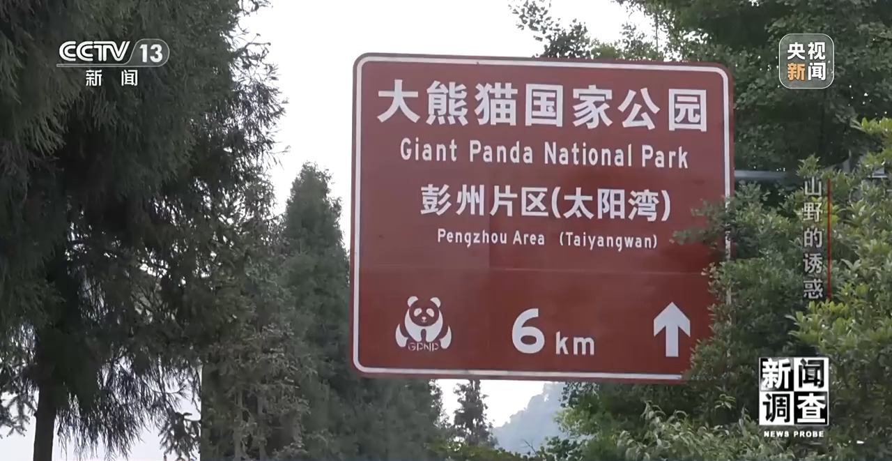 新闻调查丨户外探险事故频发,如何规范管理“越界”行为?