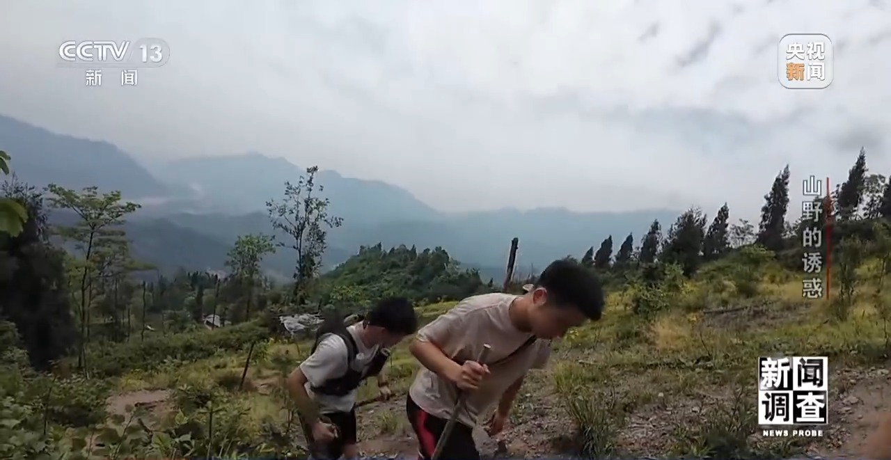 新闻调查丨户外探险事故频发,如何规范管理“越界”行为?
