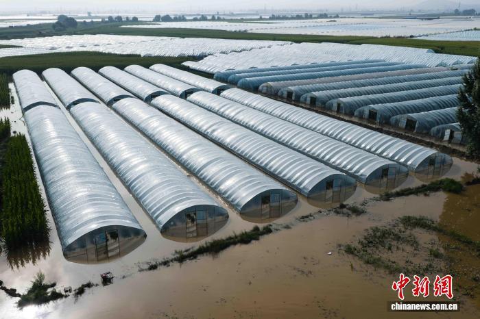 第1现场|山西大同客车失联后续:已确认10人遇难 第4张 第1现场|山西大同客车失联后续:已确认10人遇难 第4张