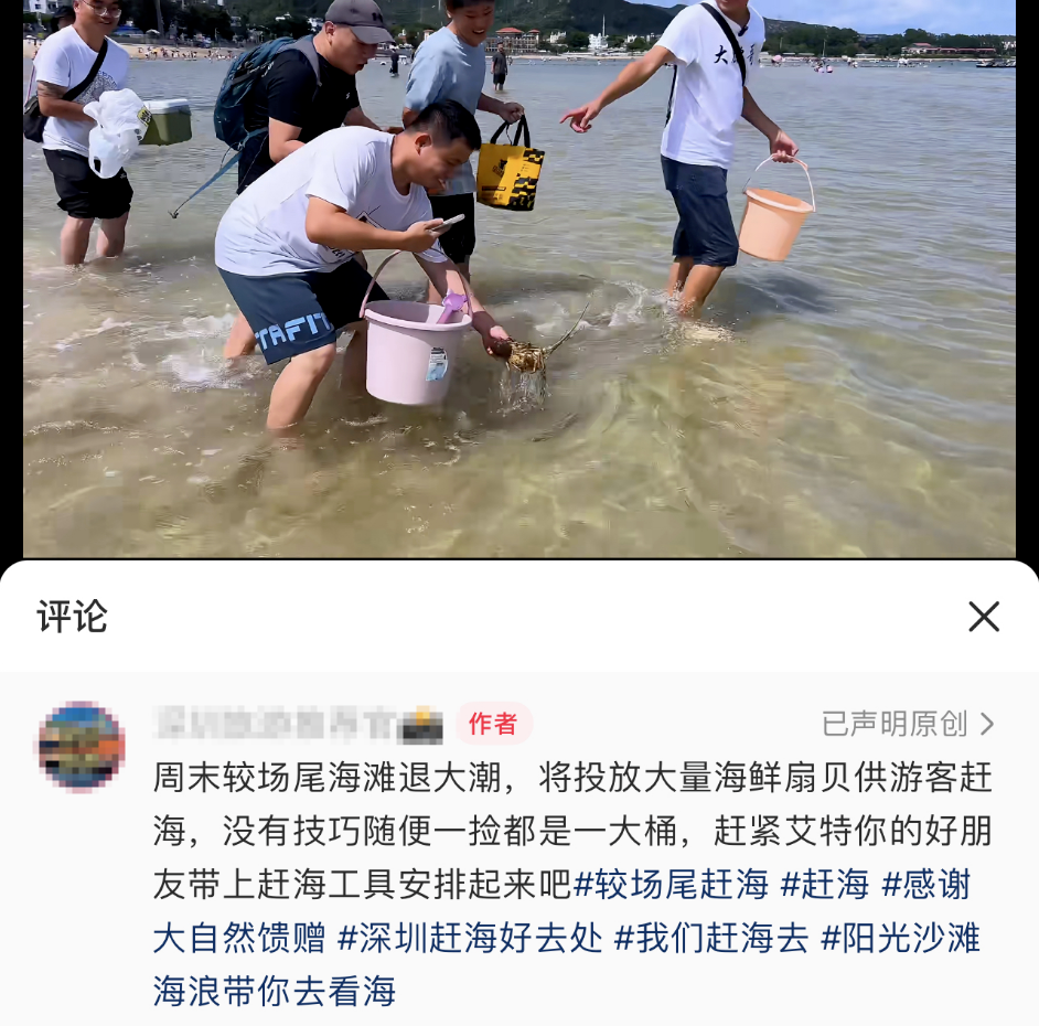 深圳民宿“放生”大龙虾等海鲜让游客赶海?涉事地位于保护区
