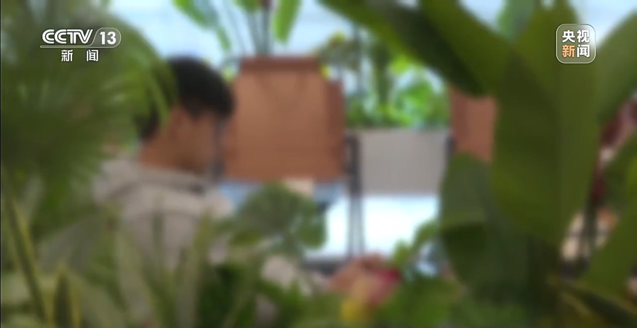 新闻周刊丨从缅甸电诈园区脱险回家，高中生胡一啸都经历了什么？