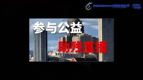 2025年呼和浩特市网络文化节活力启航
