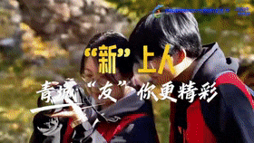 2025年呼和浩特市网络文化节活力启航