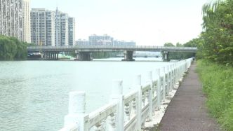 男子從橋上落水，三名14歲皮劃艇少年與工人合力救人