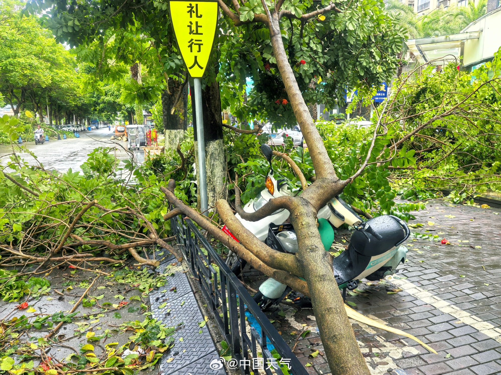 第1现场｜台风杨柳：穿越广东西行，香港发出“黑雨”信号