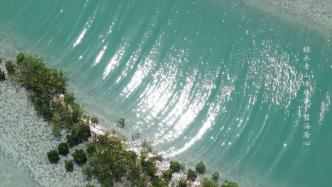 紀錄片《綠水青山千秋畫》：假如山河會發朋友圈