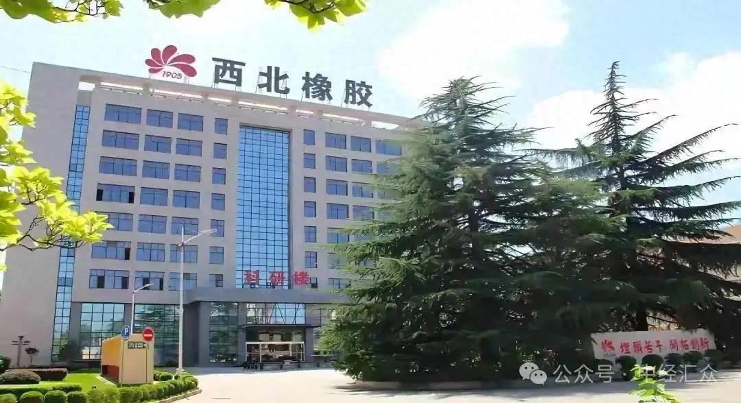 陕西轮胎巨头西北橡胶，因污染超标被罚65万