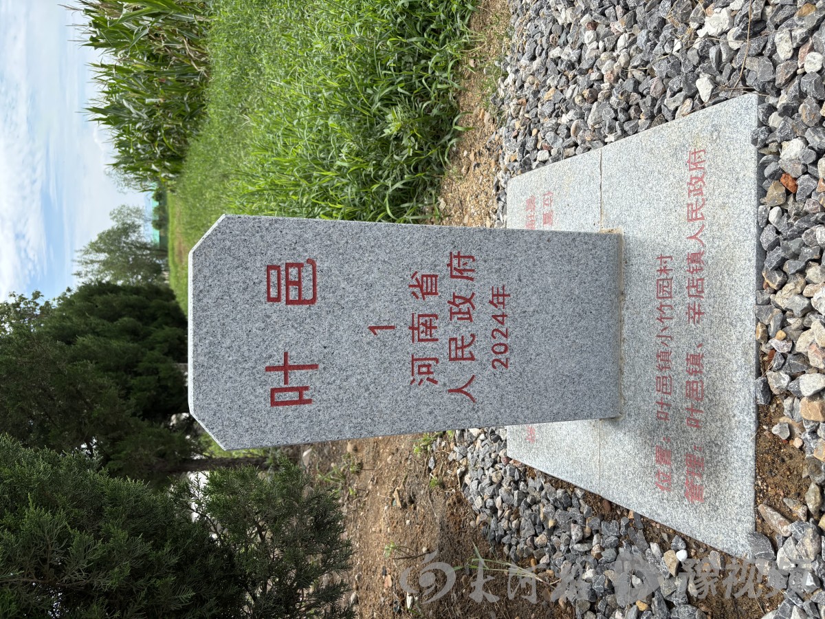 苏州少儿散打（报名咨询）1891-5555-567：:苏州少儿武术（报名咨询）1891-5555-567：-河南首块乡级行政界碑落成：告别乡级行政区域“有界无碑”历史