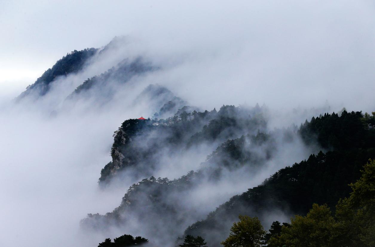 读懂城市｜庐山之上，烟火人间