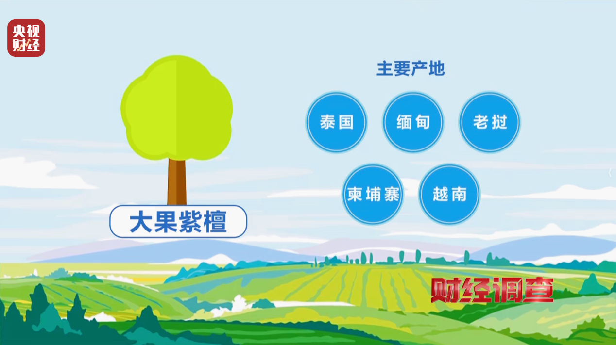 产地假的、证书按斤卖,央视曝光红木市场批量造假