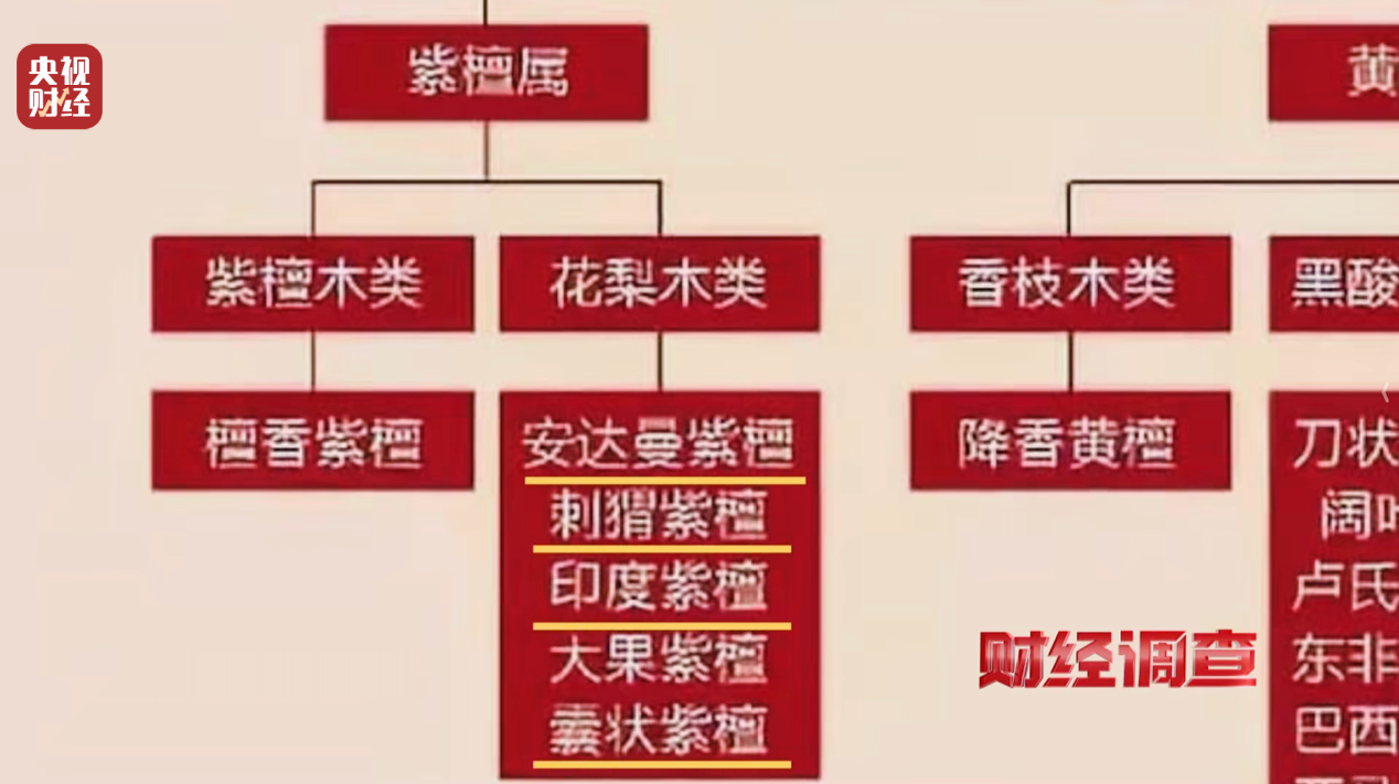 产地假的、证书按斤卖,央视曝光红木市场批量造假