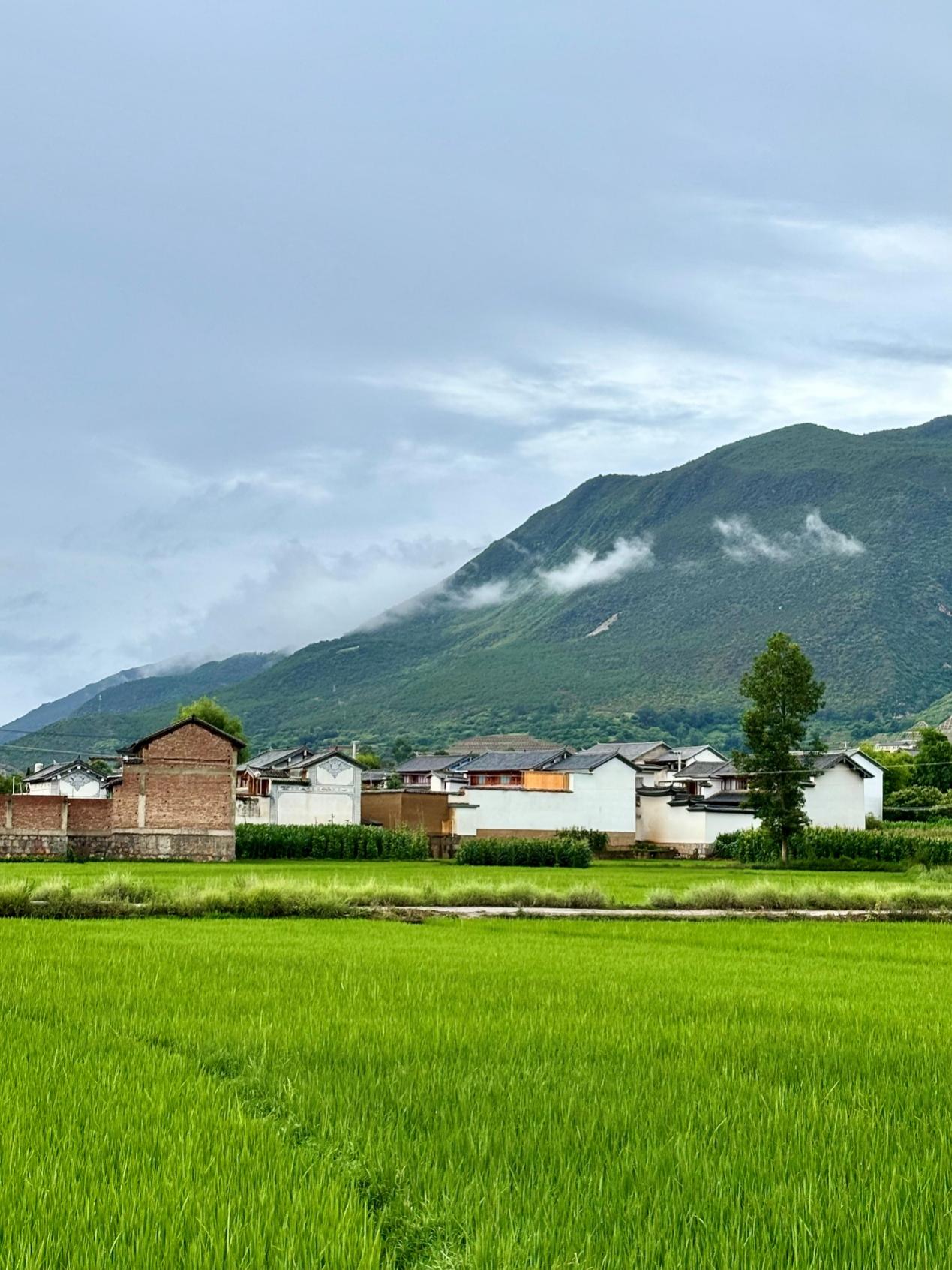 十字路口的古镇|大理沙溪古镇:探索“守得住传统、接得住流量”的可持续之路