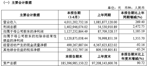 合并更名后首份中报出炉，国联民生上半年净利增超1185%