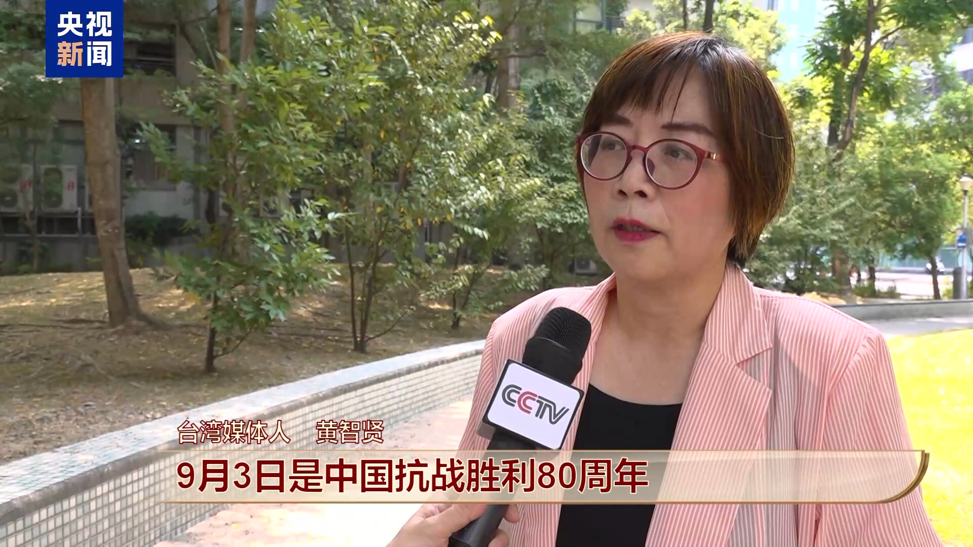 “期待实现中华民族伟大复兴”,纪念大会引发台湾岛内舆论关注