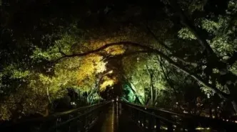 把星空“还”给夜晚，上海徐家汇公园试点建设“光污染防控示范公园”