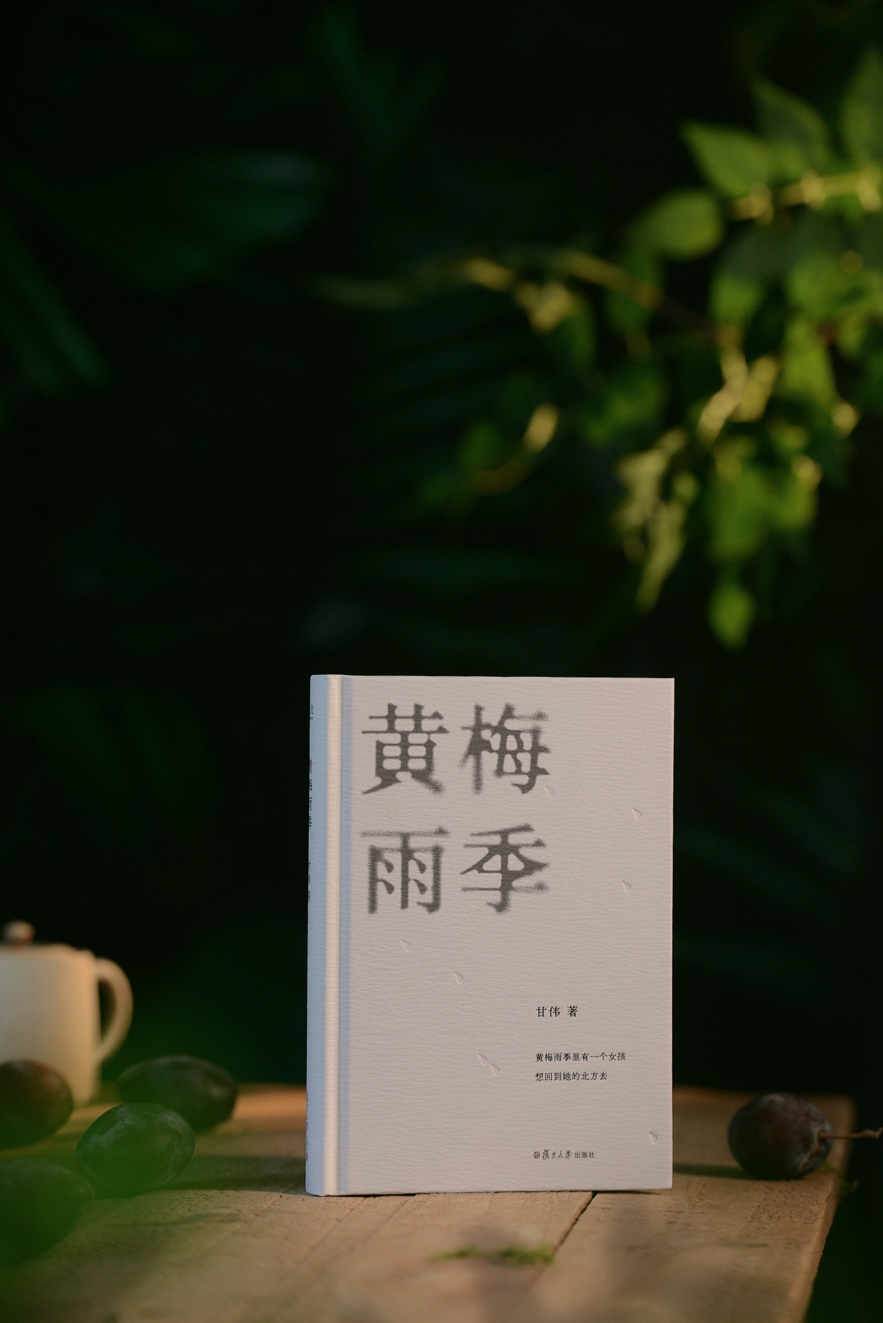 “雨季的重逢与告别”：诗人甘伟诗集《黄梅雨季》在复旦首发