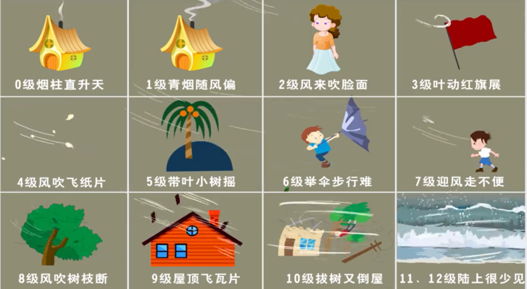 广州录得12级以上极端大风，暂未发现龙卷相关特征