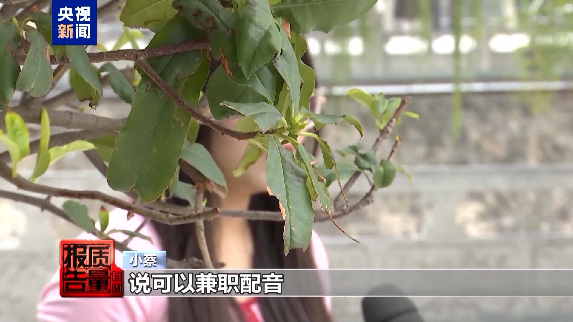 央视起底“免费培训”套路：以高薪兼职为名骗人贷款，涉事公司被立案