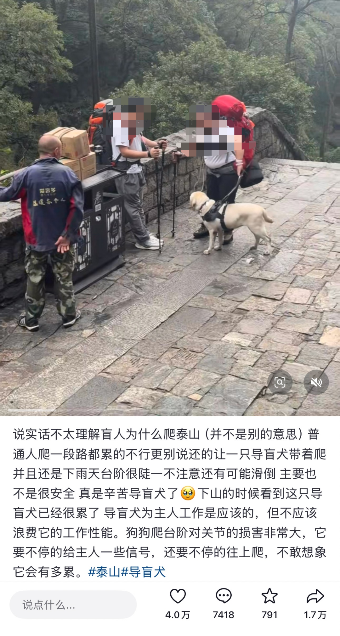 “视障人士带导盲犬爬泰山”被质疑吸引流量，导盲犬基地回应