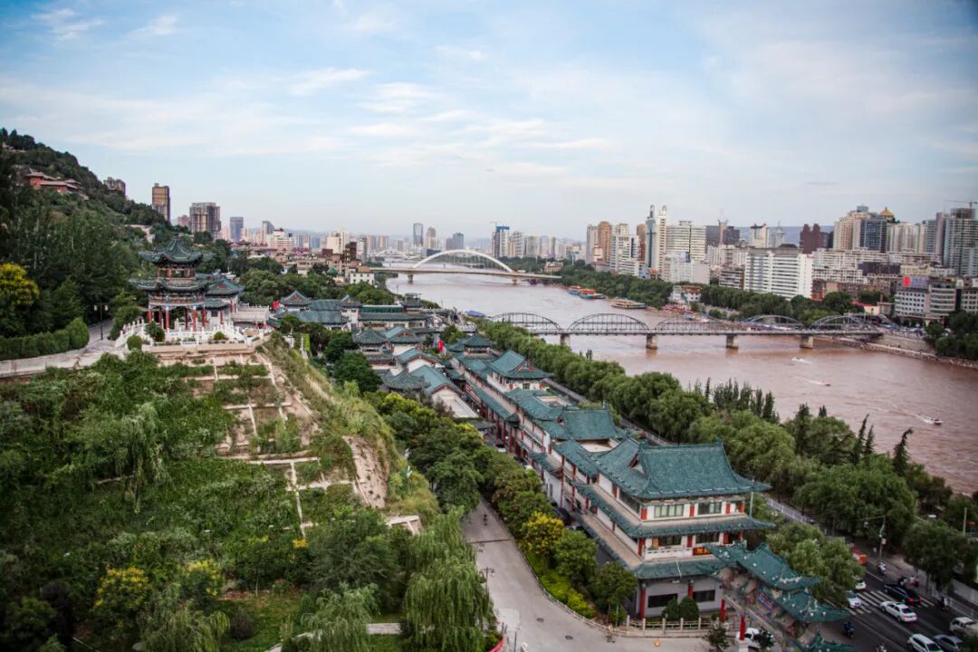 西北城市“除蒿”大战开启，沙蒿为什么这么火？