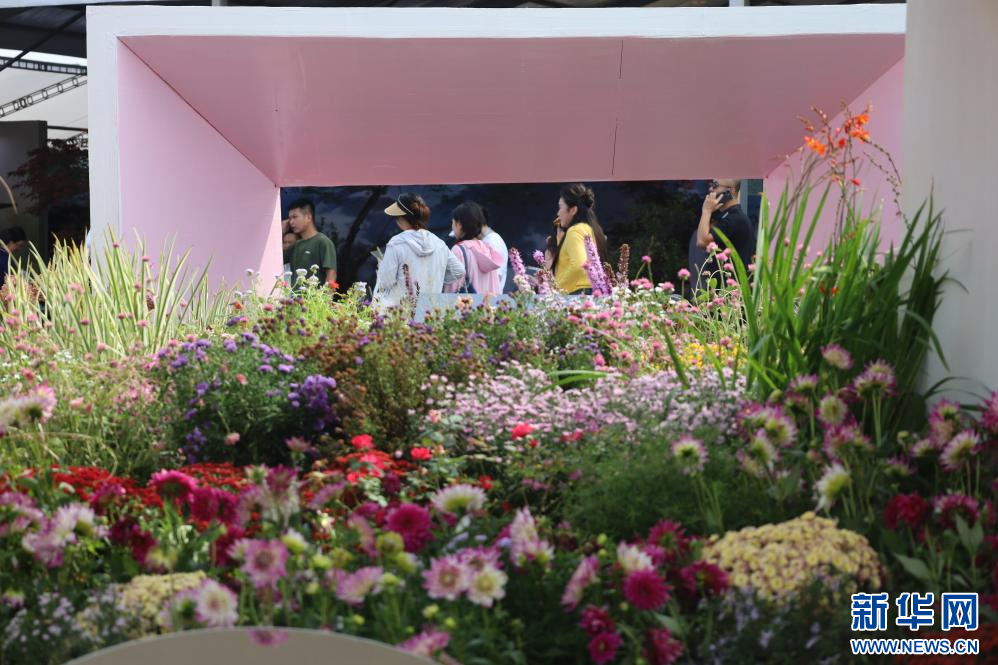 江西安义：以花为媒，撬动“美丽经济”