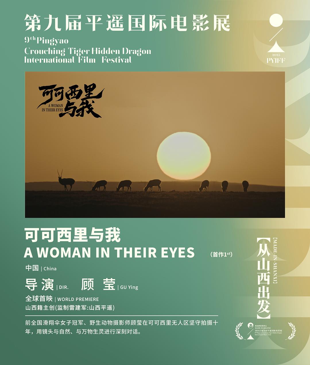 退役“鸟人”拍摄可可西里：让中国的荒原故事被世界看见