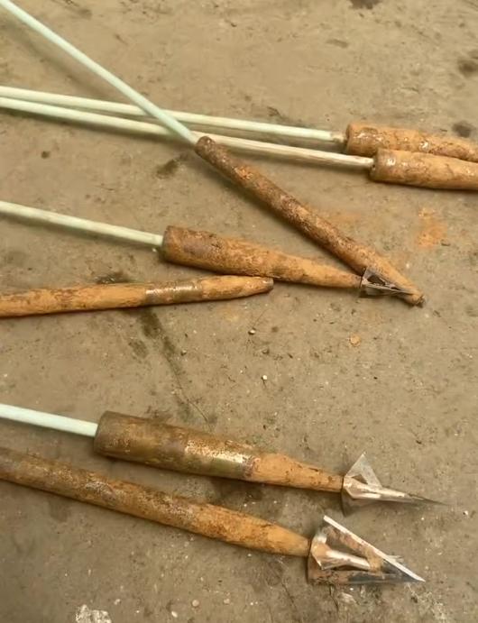 湖南长沙一猪场现多支锋利箭头，怀疑无人机射杀猪后遗留