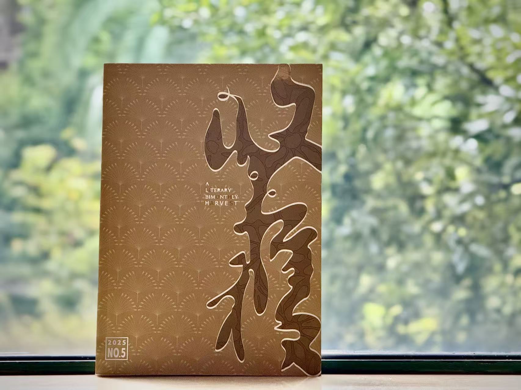 文学花边|独家对话梁鸿:我们的孩子为什么“生病”了
