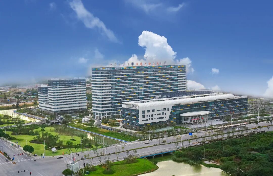 温州大道的“民生温度”:铺就龙湾宜居新图景